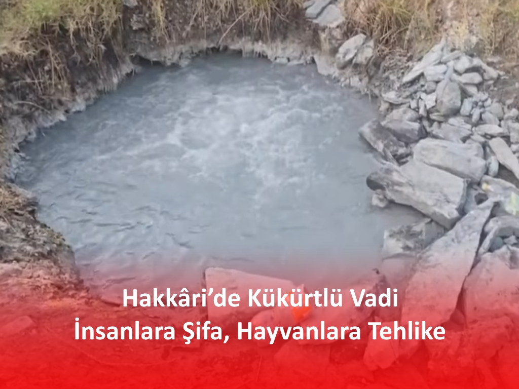 Hakkâri’de Kükürtlü Vadi: İnsanlara Şifa, Hayvanlara Tehlike